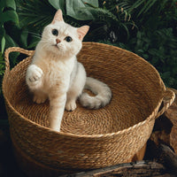 HKM-0120765 Cattail Cat Litter Mat with Rattan Frame and Sleeping Pad - Fashionable Weaving Design