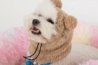 HKM-0125373 Adjustable Winter Pet Hat with Plush Fur Ball - Double-Sided Cotton Velvet, Available in Purple and Dark Khaki