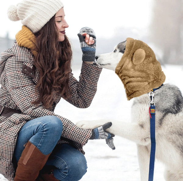 HKM-0125373 Adjustable Winter Pet Hat with Plush Fur Ball - Double-Sided Cotton Velvet, Available in Purple and Dark Khaki
