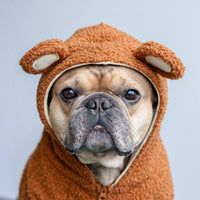 HKM-0125629 Fleece-Lined Warm Sweater for Dogs with Ear Details in Brown and Pink Options