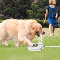 HKM-0126397 Step-On Activated Outdoor Dog Water Fountain with Interactive Paw Pedal Valve