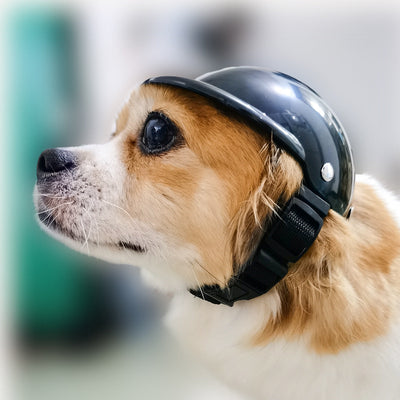 HKM-0127165 Adjustable Pet Helmet for Dogs and Cats - Protective Motorcycle Accessory, Black