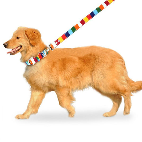 HKM-0130109 Colorful Canvas Pet Collar with Hand-Holding Rope and Chest Strap for All Occasions