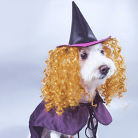 HKM-0132669 Purple Cloak and Hat Pet Costume for Dogs - Halloween Witch Outfit