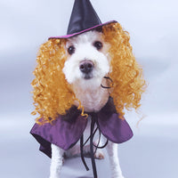 HKM-0132669 Purple Cloak and Hat Pet Costume for Dogs - Halloween Witch Outfit