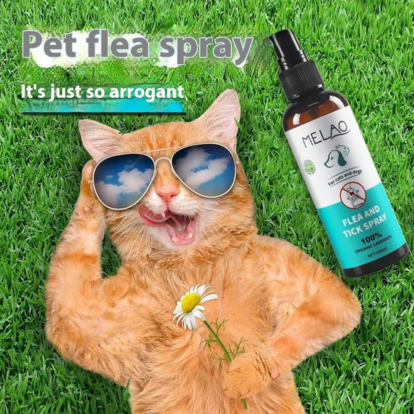 HKM-0137661 Effective Flea Spray for Dogs - 100ml Plastic Bottle