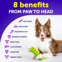 HKM-0137917 20-in-1 Chewable Dog Multivitamins with Glucosamine for Joint Support, Gut Health, & Skin Care - Suitable for All Ages, 120 Chews