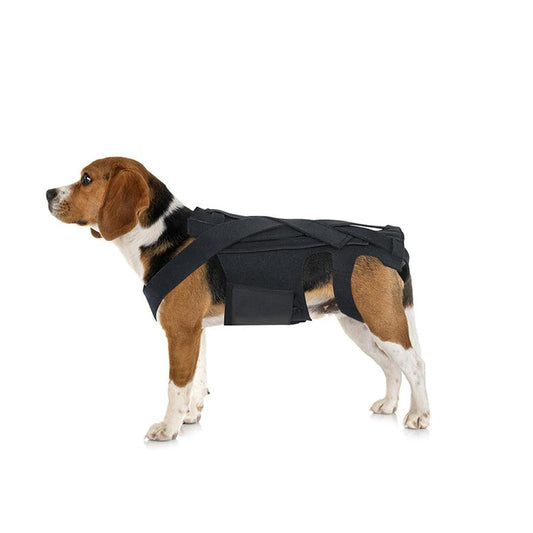 HKM-014035 Adjustable Back Brace for Dogs with IVDD, Arthritis, and Surgical Recovery Support