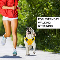 HKM-0141117 Adjustable Waterproof Reflective Dog Vest Harness for Easy No-Pull Control