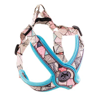 HKM-0141629 Reflective Anti-Breakaway Leash for Small and Medium Dogs - Durable Polyester with Chest Strap Options