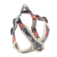 HKM-0141629 Reflective Anti-Breakaway Leash for Small and Medium Dogs - Durable Polyester with Chest Strap Options