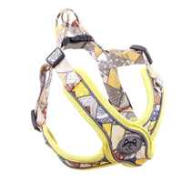 HKM-0141629 Reflective Anti-Breakaway Leash for Small and Medium Dogs - Durable Polyester with Chest Strap Options