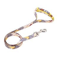 HKM-0141629 Reflective Anti-Breakaway Leash for Small and Medium Dogs - Durable Polyester with Chest Strap Options