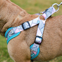 HKM-0141629 Reflective Anti-Breakaway Leash for Small and Medium Dogs - Durable Polyester with Chest Strap Options