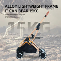 HKM-015123 Foldable 2-in-1 Pet Stroller for Dogs and Cats with Detachable Design
