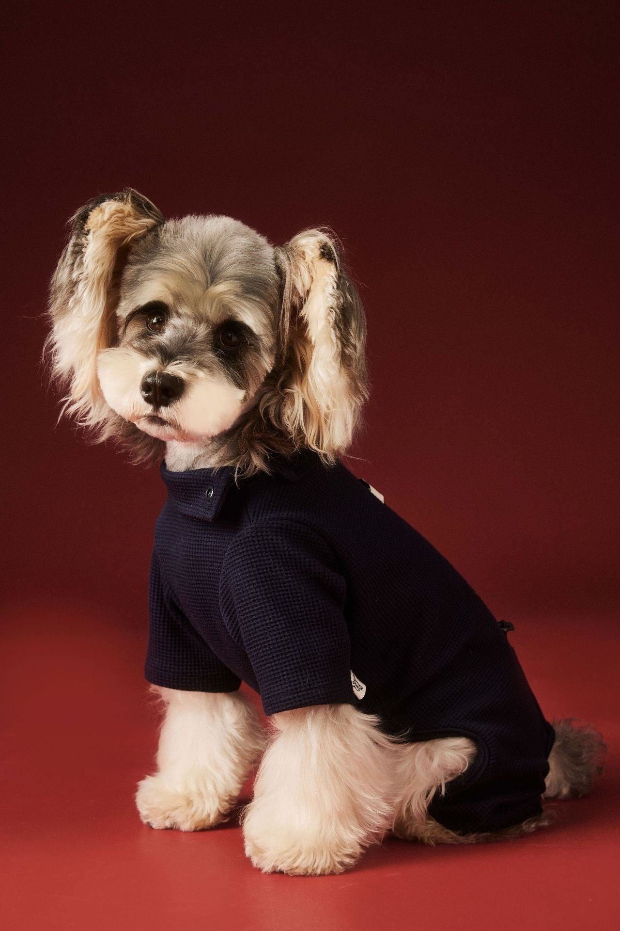 HKM-0152125 Cozy Waffle Four-Legged Pet Clothing for Autumn and Winter in Beige and Navy Blue