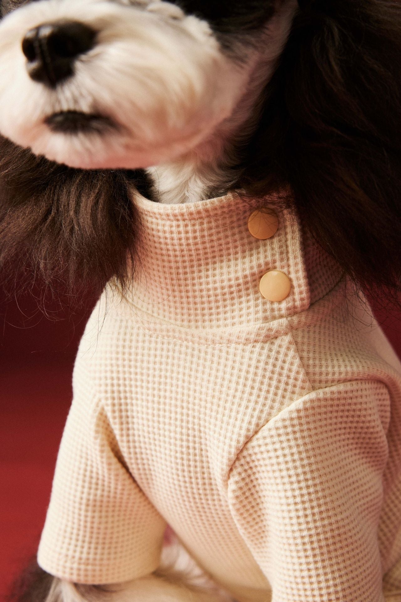 HKM-0152125 Cozy Waffle Four-Legged Pet Clothing for Autumn and Winter in Beige and Navy Blue