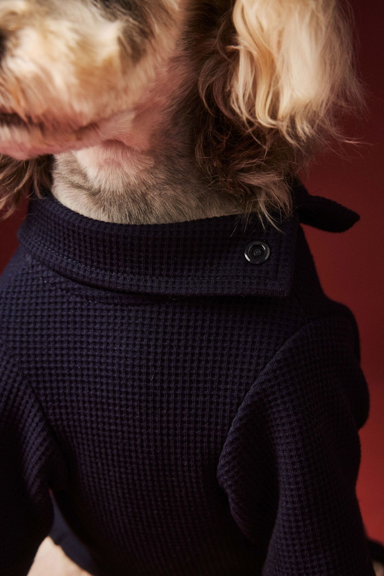 HKM-0152125 Cozy Waffle Four-Legged Pet Clothing for Autumn and Winter in Beige and Navy Blue