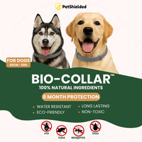 HKM-0155965 Adjustable Anti-Mosquito Collar for Cats and Dogs - Natural Insect Repellent with Long-Lasting Protection