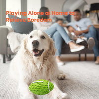 HKM-0160573 Durable Squeaky Rugby Dog Toy for Aggressive Chewers, Ideal for Large Dogs