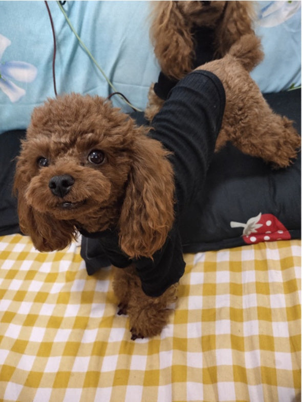 HKM-0161469 Lightweight Pet Bottoming Shirt for Small Dogs - Fashionable Casual Wear
