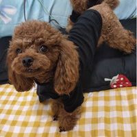 HKM-0161469 Lightweight Pet Bottoming Shirt for Small Dogs - Fashionable Casual Wear