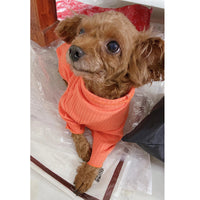 HKM-0161469 Lightweight Pet Bottoming Shirt for Small Dogs - Fashionable Casual Wear