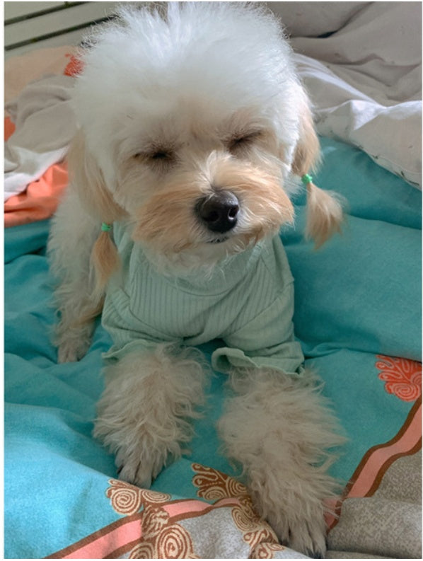 HKM-0161469 Lightweight Pet Bottoming Shirt for Small Dogs - Fashionable Casual Wear
