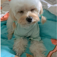 HKM-0161469 Lightweight Pet Bottoming Shirt for Small Dogs - Fashionable Casual Wear