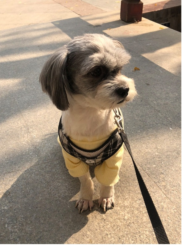 HKM-0161469 Lightweight Pet Bottoming Shirt for Small Dogs - Fashionable Casual Wear