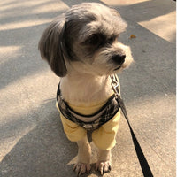 HKM-0161469 Lightweight Pet Bottoming Shirt for Small Dogs - Fashionable Casual Wear