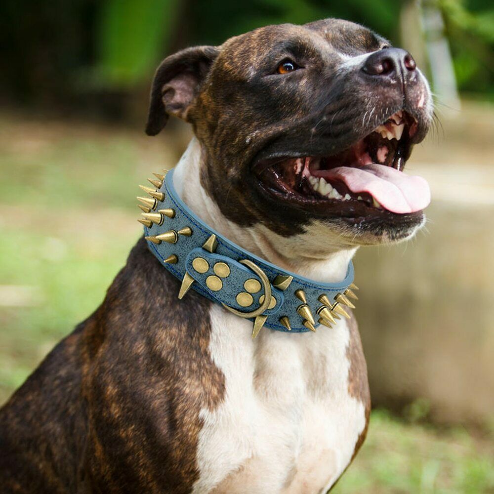 HKM-0162877 Stylish Anti-Bite Collar Chain for Dogs with Adjustable Fit and Extension Chain