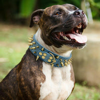 HKM-0162877 Stylish Anti-Bite Collar Chain for Dogs with Adjustable Fit and Extension Chain