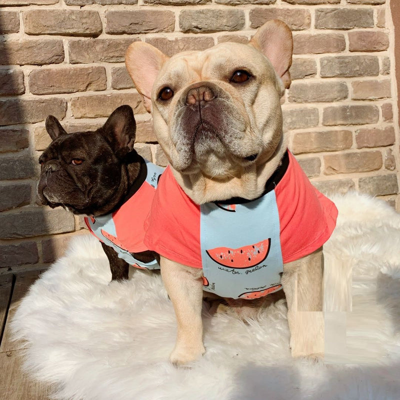 HKM-0163517 Cotton Short Sleeve Dog Apparel for Spring and Autumn, Available in Multiple Sizes