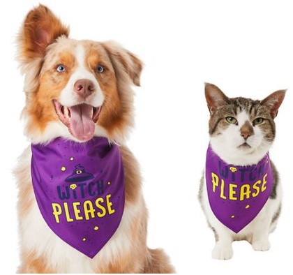 HKM-0166461 Triangle Scarf for Pets - Cute and Funny Bib Saliva Towel in Multiple Colors