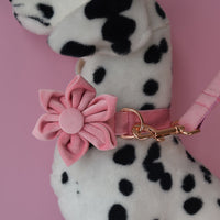 HKM-0170685 Luxurious Velvet Dog Collar with Double Microfiber Rose Gold Buckle ¨C Available in Multiple Sizes and Options