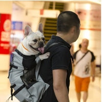 HKM-0176829 Ventilated and Comfortable Pet Travel Backpack with Safety Buckle and Breathable Mesh Strap