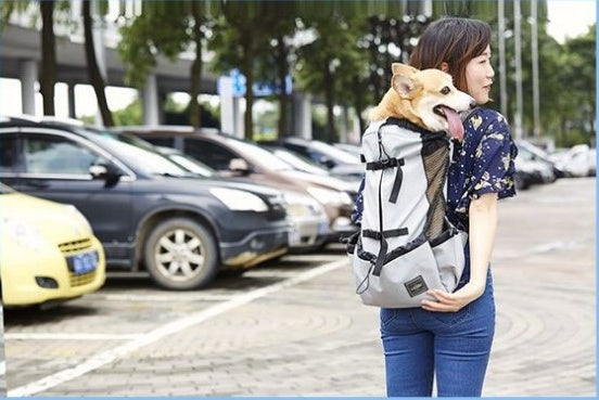 HKM-0176829 Ventilated and Comfortable Pet Travel Backpack with Safety Buckle and Breathable Mesh Strap
