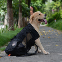 HKM-0176829 Ventilated and Comfortable Pet Travel Backpack with Safety Buckle and Breathable Mesh Strap