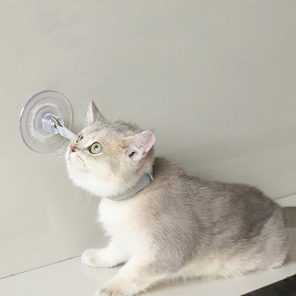 HKM-0182973 Portable Pet Bathing Collar with Suction Cup for Cats and Puppies