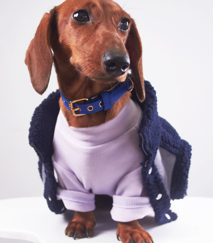 HKM-0184893 Casual Winter Pet Clothing for Cats and Puppies - Warm Suede Lined Attire, Various Sizes Available
