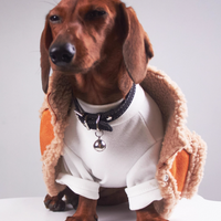 HKM-0184893 Casual Winter Pet Clothing for Cats and Puppies - Warm Suede Lined Attire, Various Sizes Available