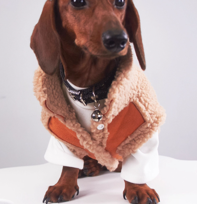 HKM-0184893 Casual Winter Pet Clothing for Cats and Puppies - Warm Suede Lined Attire, Various Sizes Available