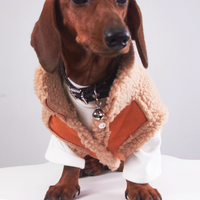 HKM-0184893 Casual Winter Pet Clothing for Cats and Puppies - Warm Suede Lined Attire, Various Sizes Available