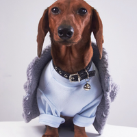 HKM-0184893 Casual Winter Pet Clothing for Cats and Puppies - Warm Suede Lined Attire, Various Sizes Available