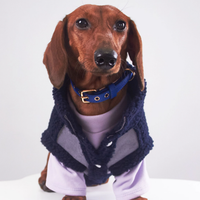 HKM-0184893 Casual Winter Pet Clothing for Cats and Puppies - Warm Suede Lined Attire, Various Sizes Available