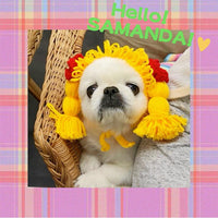 HKM-0190909 Pomeranian Teddy Dog Hand-Crafted Bowknot Headgear in Yellow and Coffee Color