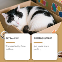 HKM-0191933 Probiotic Soft Pellets for Cats with Pumpkin Seed Extract and Flaxseed Powder