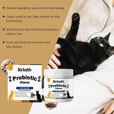HKM-0191933 Probiotic Soft Pellets for Cats with Pumpkin Seed Extract and Flaxseed Powder