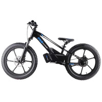 HKM-019475 20-inch Electric Balance Bike for Kids with 3 Speed and Hydraulic Disc Brakes
